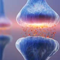 Audifort GABA Ingredient